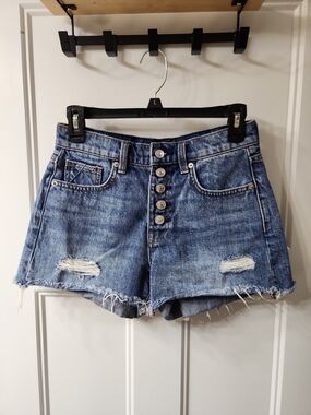 7 For All Mankind Distressed Blue Denim Jean Shorts